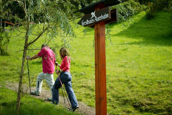 Wellness im schwarzwald fur singles Single Wellnessurlaub & Wellnesshotel Wochenende für ...