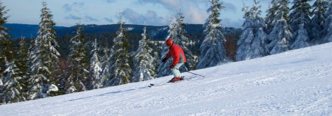 Skifahrer im Schwarzwald