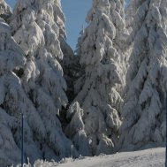 Wunderbare Winterferien im Schwarzwald, Bild 2/3