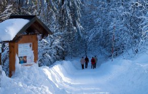 Wunderbare Winterferien im Schwarzwald, Bild 1/3