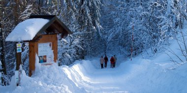 Wunderbare Winterferien im Schwarzwald, Bild 1/3