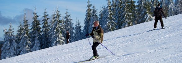 Skifahren und Snowboarden im Schwarzwald