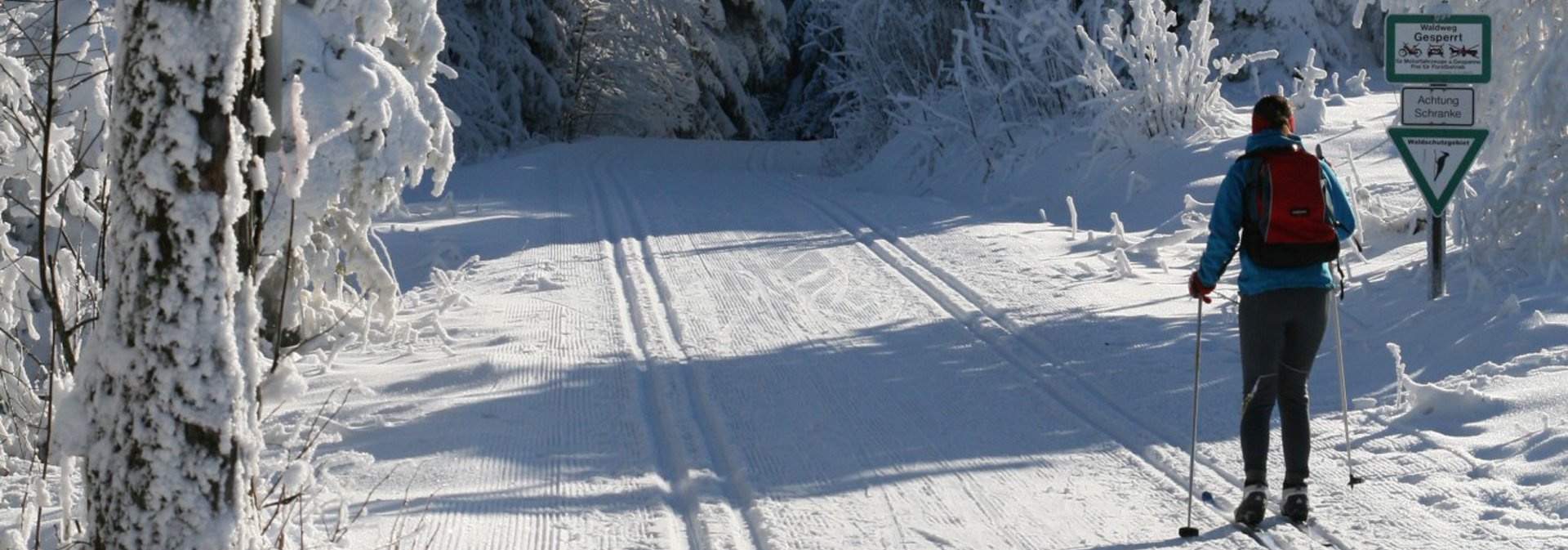 Skilanglaufen in Baiersbronn im Schwarzwald
