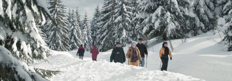 Winterwandern bei Baiersbronn im Schwarzwald