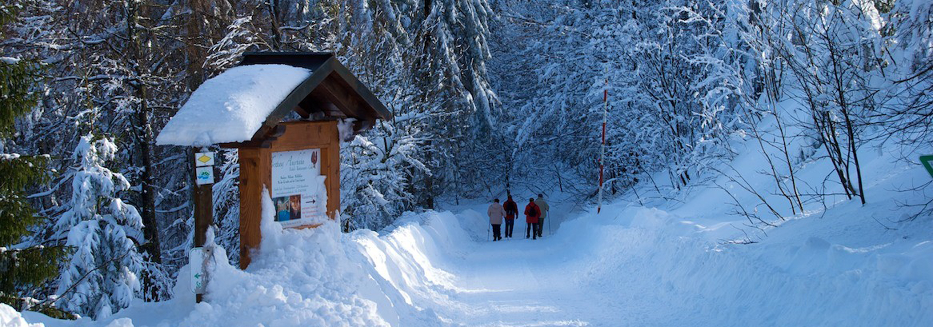 Winter- & Schneeschuhwandern in Baiersbronn im Schwarzwald
